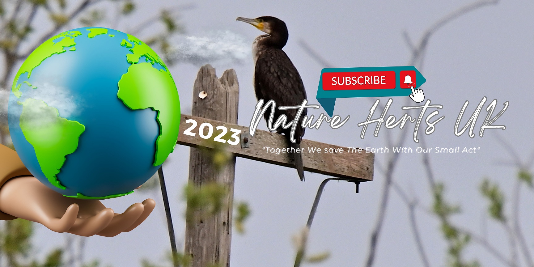 nature,logo,banner,